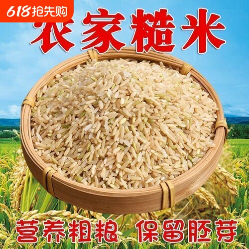 野生长粒香糙米天然原生好米质感饱满蒸煮食用健康家常主食