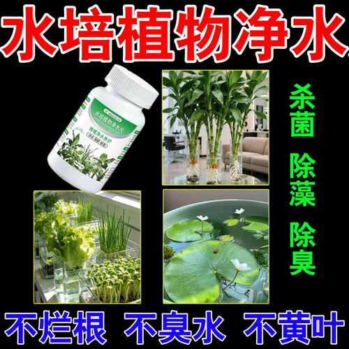 水培植物增氧片净水片营养片促生根水培花卉通用绿植水质除臭杀菌
