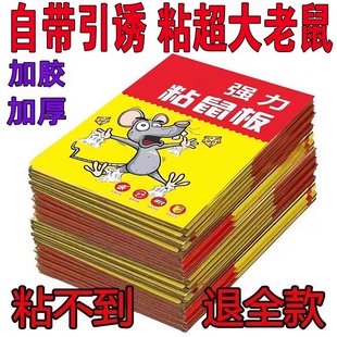 老鼠粘强力粘鼠板捕鼠神器强力胶粘大老鼠贴一窝端超强厨房家用贴