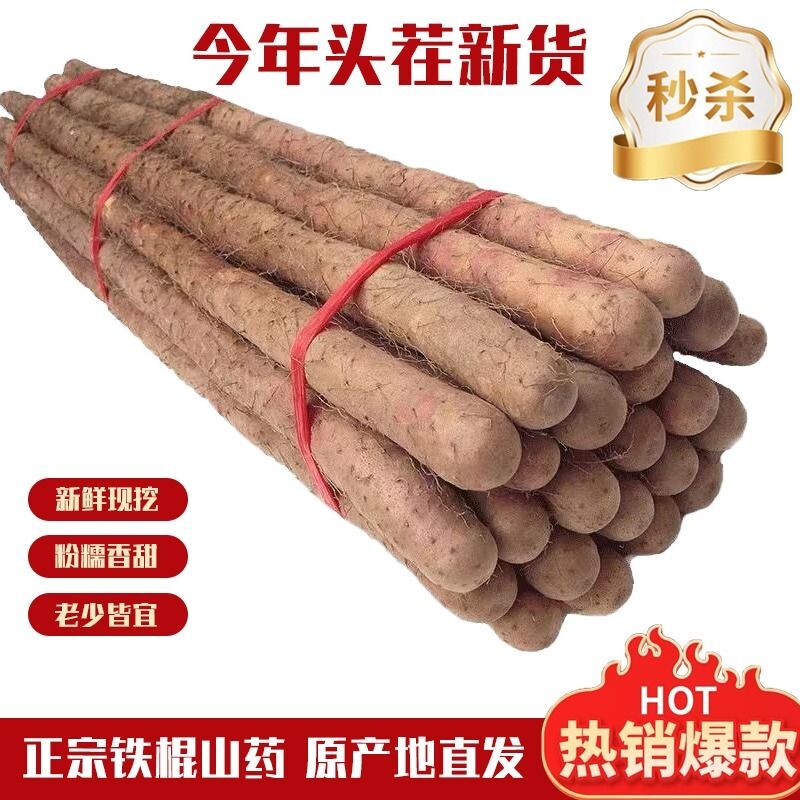 河北正宗铁棍山药小白嘴山药新鲜麻山药5斤装宝宝辅食