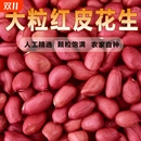 2025新货东北红皮花生米大粒红花生仁红衣花生米袋装 精选 5斤散装