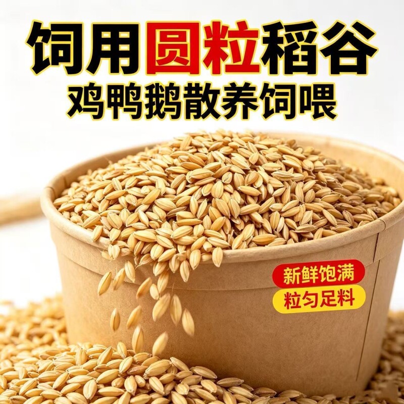2026年稻谷带壳稻谷喂鸡鸭鸽粮饲料批发谷子水稻子喂鸡鸭鹅鸟杂粮