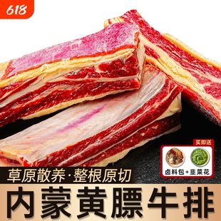 黄膘牛排内蒙古新鲜带肉牛肋排条原切牛肉冷冻黄标牛排骨生鲜