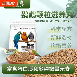 灰鹦鹉饲料金太阳专用牡丹虎皮小太阳玄凤鸟粮滋养丸粮食小颗粒