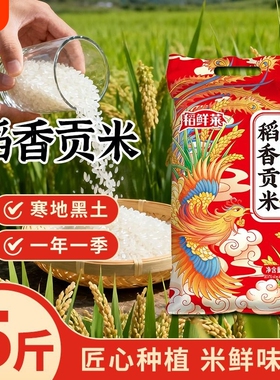 东北大米珍珠米5kg10斤装当季新米20斤产地直发稻香米50斤非真空