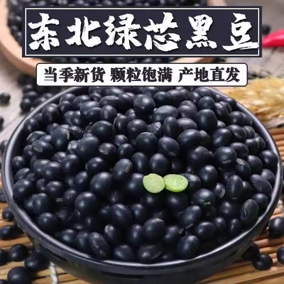 东北青仁绿心黑豆农家自产黑皮绿芯大豆五谷杂粮豆打豆浆生芽