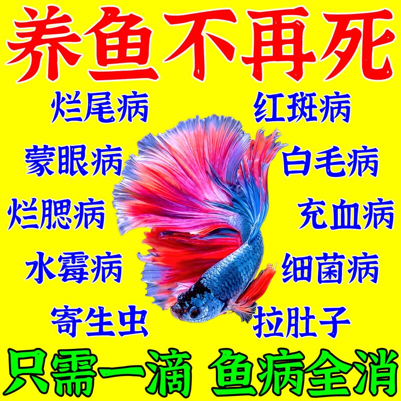 鱼病全消专用药疾病治疗烂身尾白点掉鳞净水锦鲤万能杀菌水质