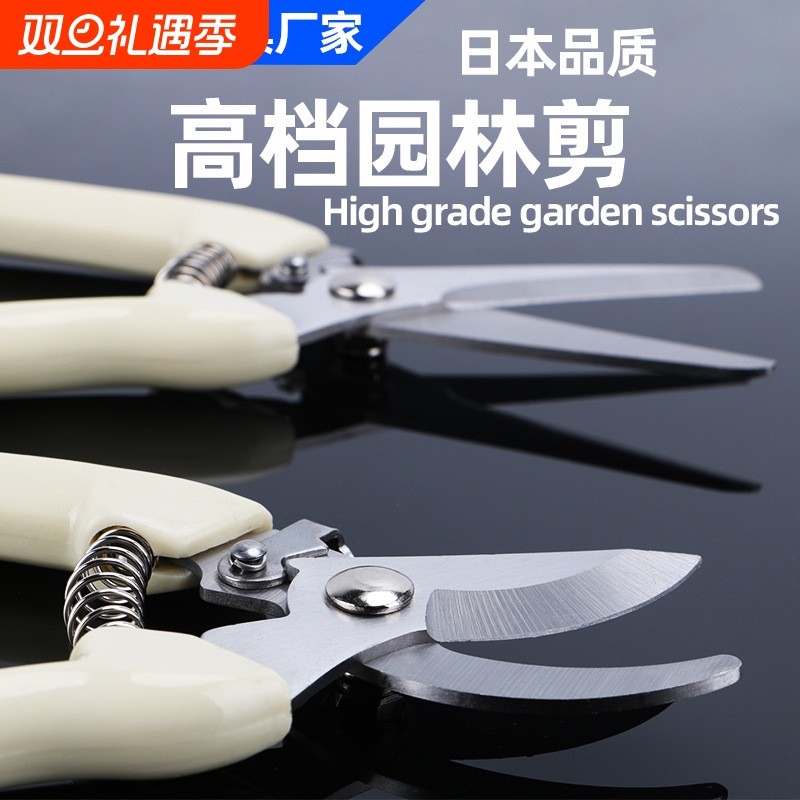 剪枝修枝园林剪刀园艺剪果树摘果花艺盆景果枝工具剪修剪枝条