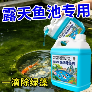 鱼池除藻剂去绿水绿藻水质净化剂消毒杀菌净水青苔清除氧气增氧