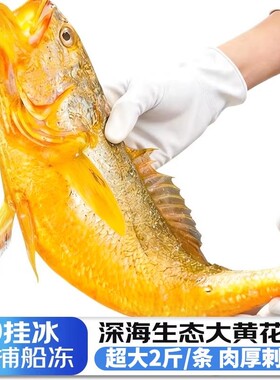 黄花鱼新鲜冷冻大黄鱼鲜活深海小黄鱼半野生年货海鲜礼盒2斤一条