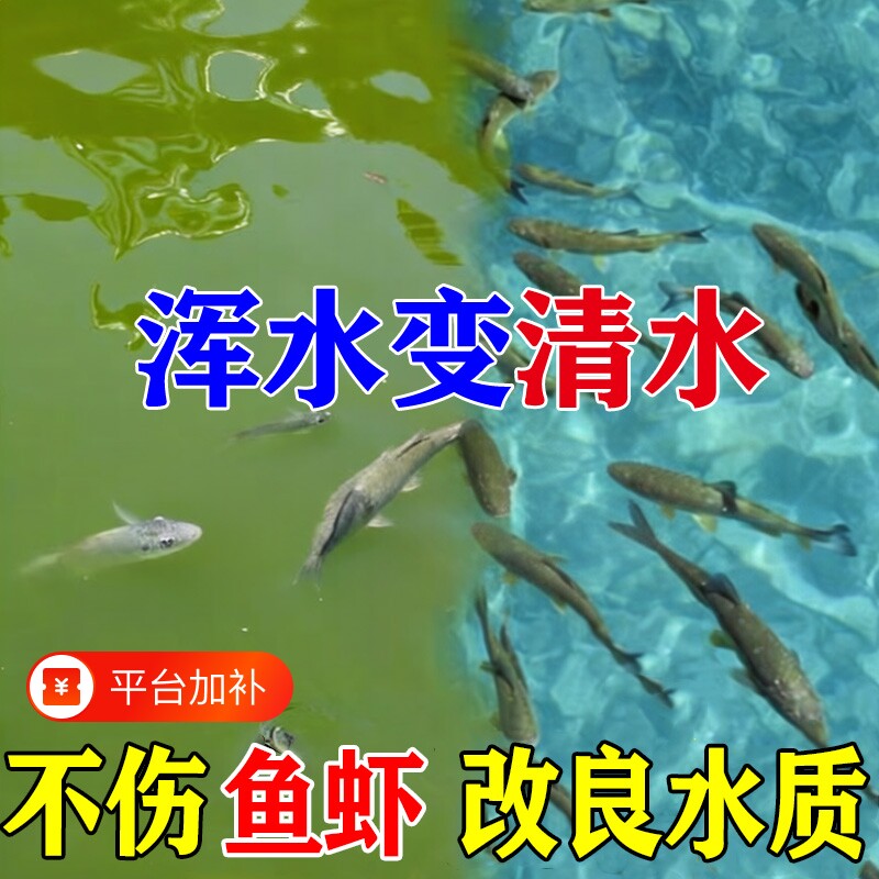 鱼塘鱼池水立水净池塘水质净化去臭净水王不伤鱼虾蟹养殖水质稳定
