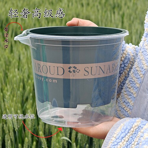 可视透明花盆加厚自吸双层储水培
