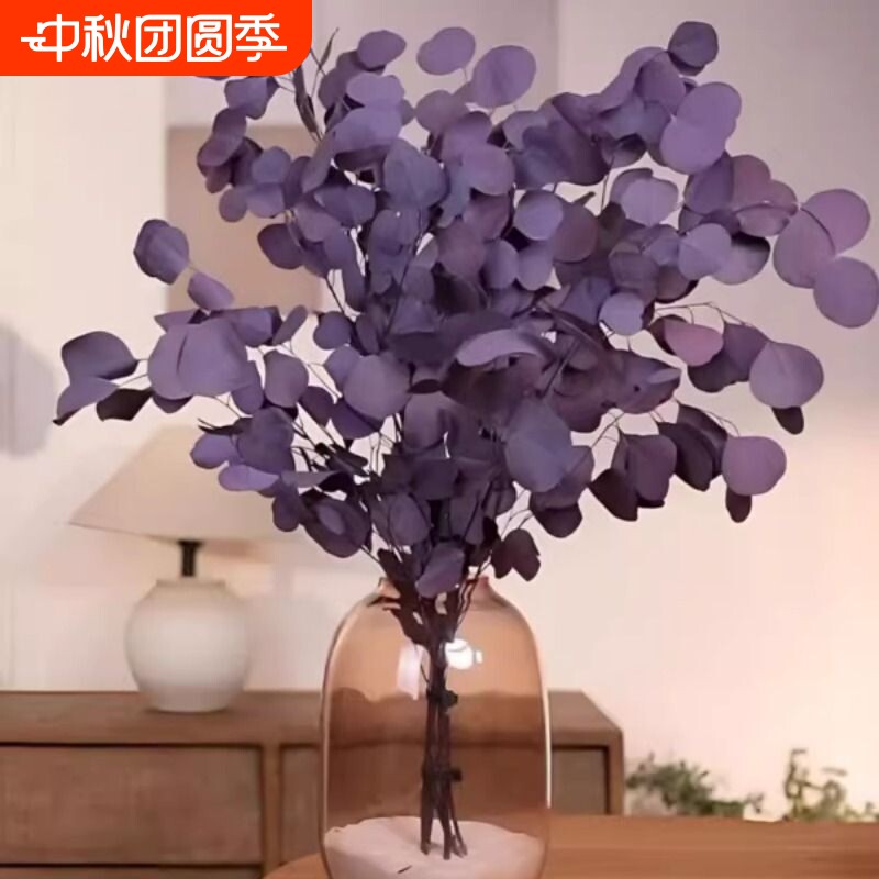 尤加利叶干花花束客厅摆设天然风干真花装饰摆件高级感保鲜永生花图片