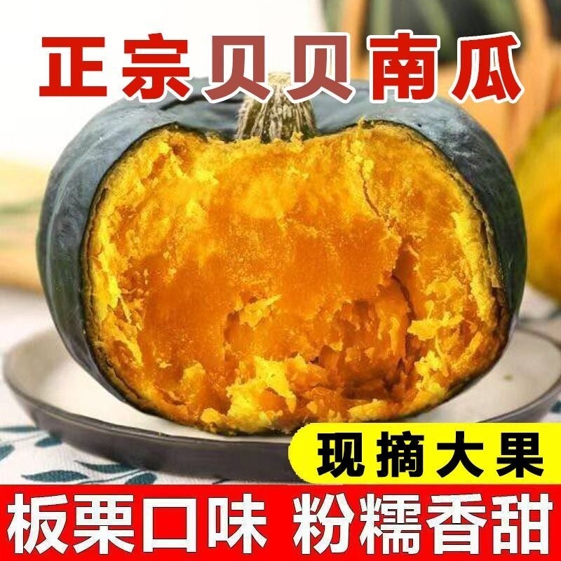 广西南宁直销贝贝南瓜贝贝板栗味南瓜粉糯香甜代餐小南瓜宝宝辅食
