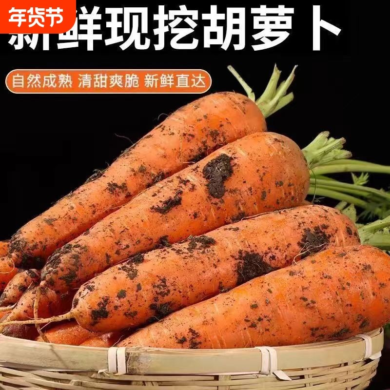 现拔新鲜胡萝卜带泥现挖蔬菜水果可生吃即食甜脆农家自种包邮当季,水产肉类/新鲜蔬果/熟食,萝卜/胡萝卜,淘宝优惠券,粉丝福利购,淘宝优惠卷