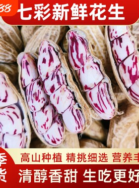 云南高原新鲜现挖七彩花生农家水果五彩好吃整箱5斤包邮新货