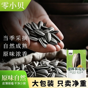 零小贝新货原味葵花子2斤装 炒熟炒货批发休闲零食坚果葵花籽