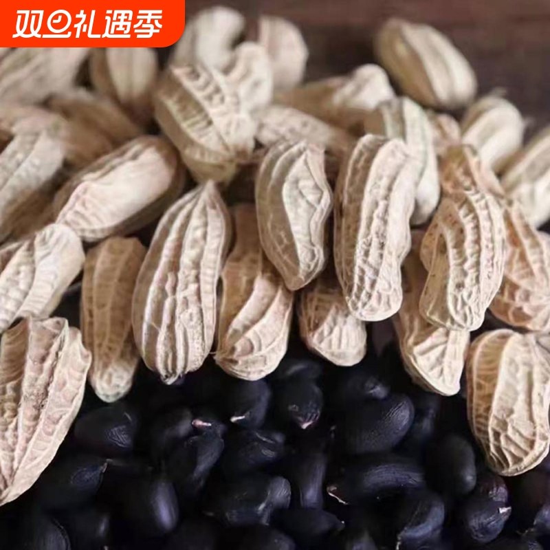 新货特价2025年云南黑花生带壳富硒晒干普洱黑皮花生新鲜