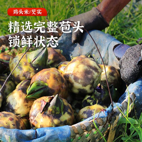苏州特产鸡头米苞头带壳新鲜当天现发手剥芡实应季无添加农场直发