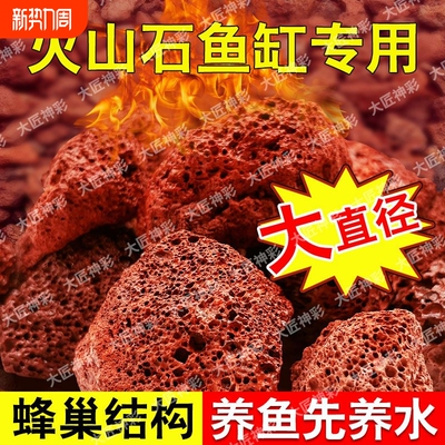 鱼缸造景真火山石装饰龟缸石头沙子底砂全套颗粒火山岩石免洗水质