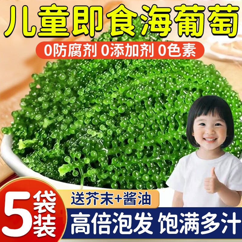 盐渍即食海葡萄新鲜海草海藻海带零食压缩凉拌菜儿童营养健康小吃