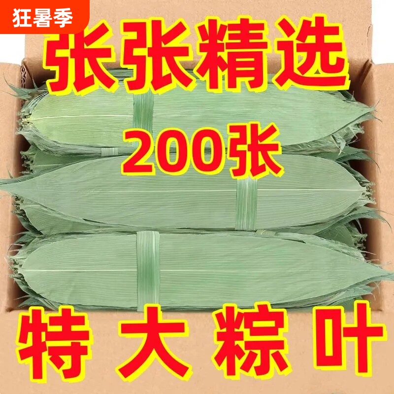 端午节包粽子专用粽叶粽子叶新鲜特大号干棕叶官方旗舰店无硫叶子 - 实物图