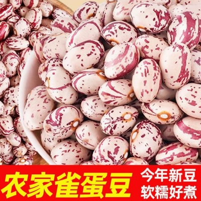花豆贵州特产四季豆贵州新花豆红豆菜豆米红饭豆红花芸豆米自种
