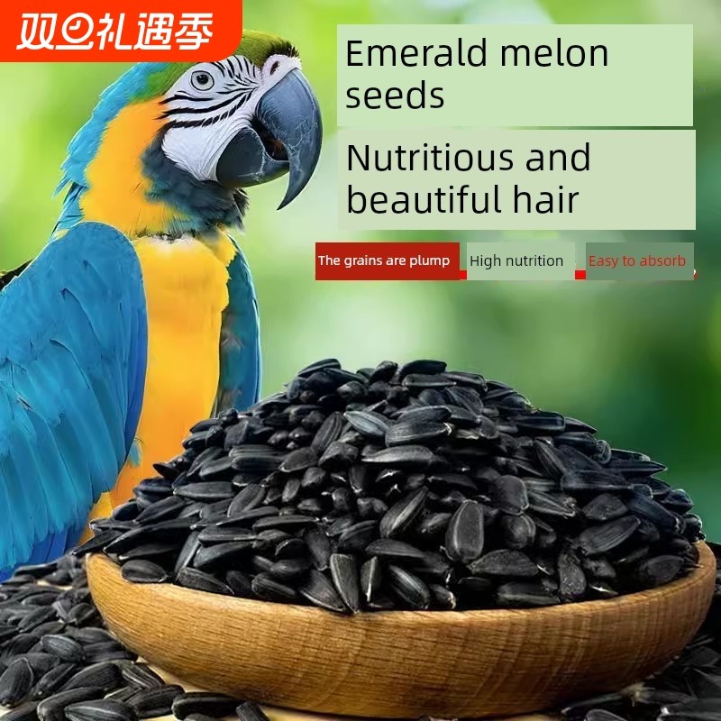 鹦鹉鸟食饲料鸟食油向日葵小瓜子奖励零食鹦鹉黑凤凰虎皮牡丹专用