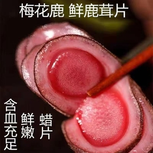 鲜鹿茸片梅花鹿茸整枝鹿角新鲜带血鹿茸片头茬男性泡酒药材正品