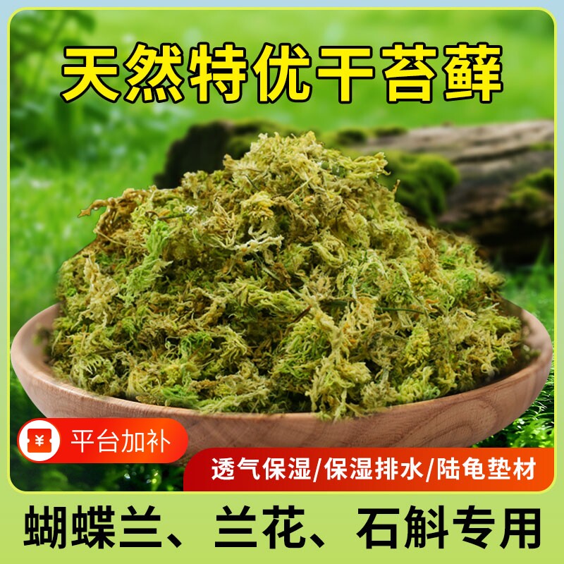 水苔蝴蝶兰专用水苔蝴蝶兰专用营养土青苔干苔藓兰花专用植料爬宠