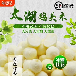 2025年鸡头米新鲜苏州特产芡实欠茨实正宗太湖苏芡冷冻非干货当季