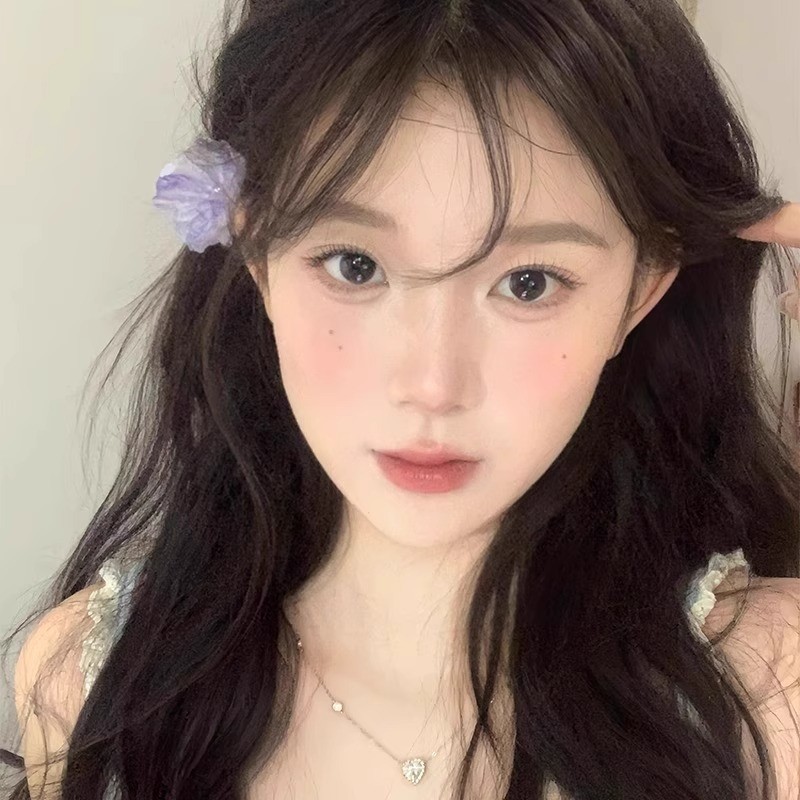 森系超仙紫色干枯花朵抓夹发夹鲨鱼夹2025新款高级感头花发饰头饰