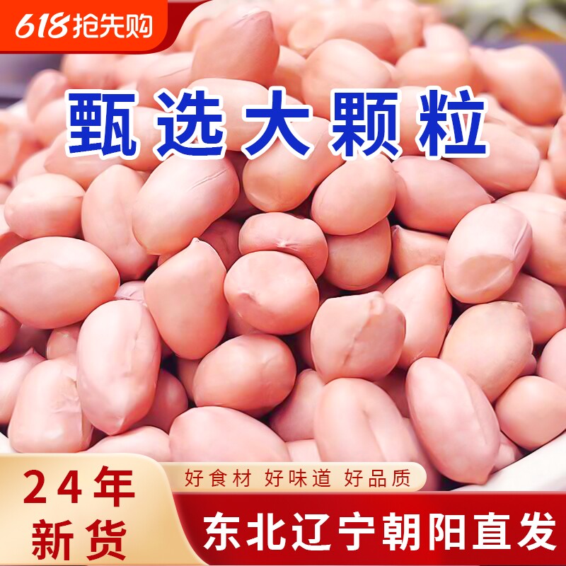 东北白沙花生米2024年新货农家自种新鲜生粉红皮花生仁粒果仁大粒