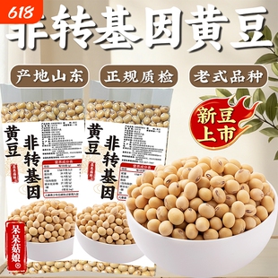 呆呆菇娘 非转基因黄豆450g笨黄豆黄大豆粗粮打豆浆专用真空密封Z