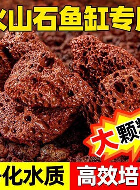 火山石鱼缸专用颗粒天然滤材造景底砂养鱼材料大块过滤石肥料溪流