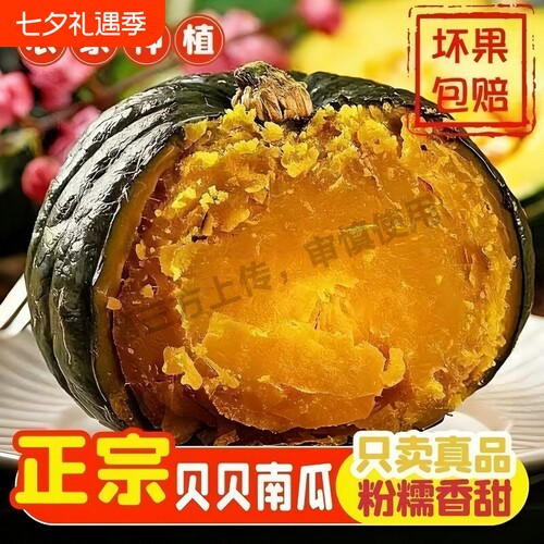 正宗贝贝南瓜板栗味小南瓜