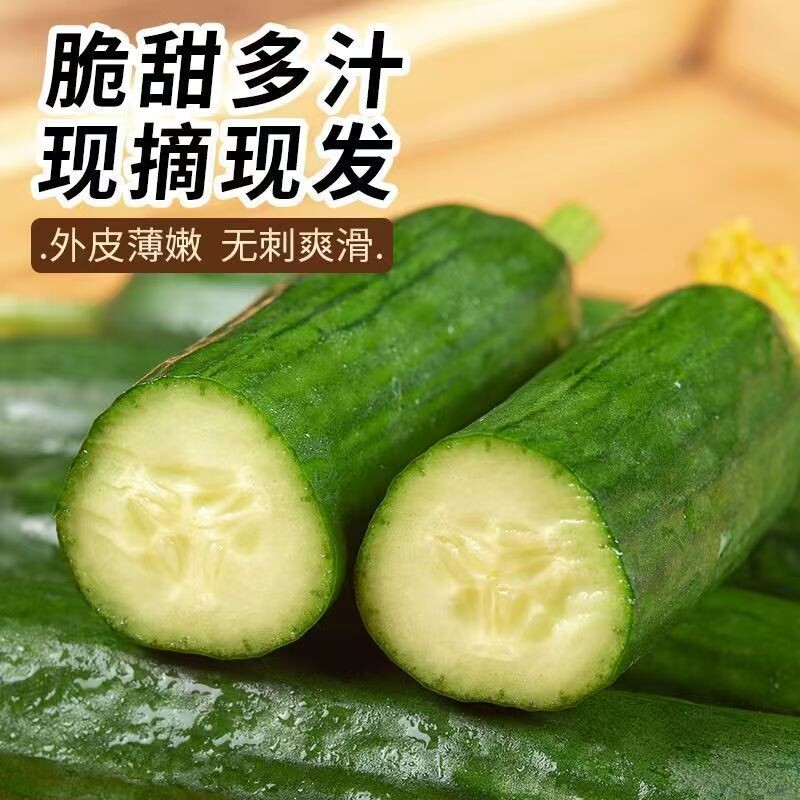 生吃水果小黄瓜5斤 13元 - 线报酷