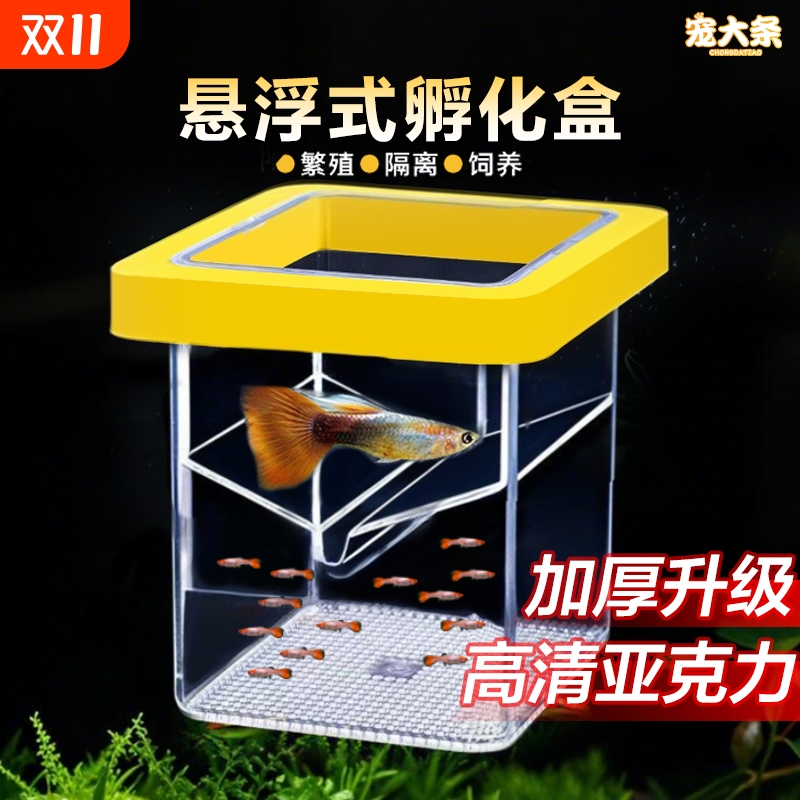 鱼缸繁殖隔离器悬浮式母鱼孵化器孔雀鱼凤尾鱼繁殖盒固定方形