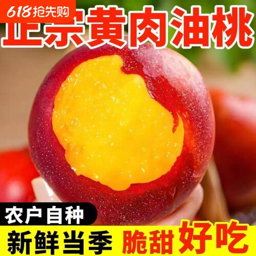 新鲜山东黄肉油桃当季新鲜应季