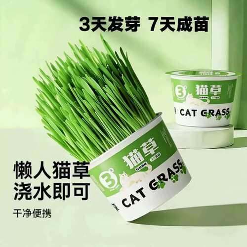 猫草盆栽懒人泡面猫草专用化毛水培盒狗猫草自种猫咪零食冻干
