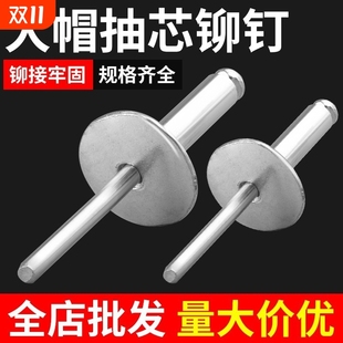 铝制圆头大帽沿拉铆钉抽芯铆钉大扁头汽车拉铆钉大帽铆钉大头拉钉