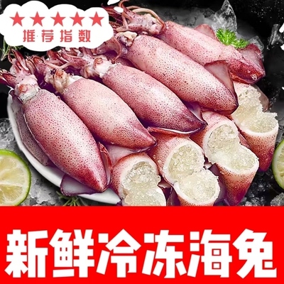 带籽籽乌海兔子满籽新鲜活笔管鱼