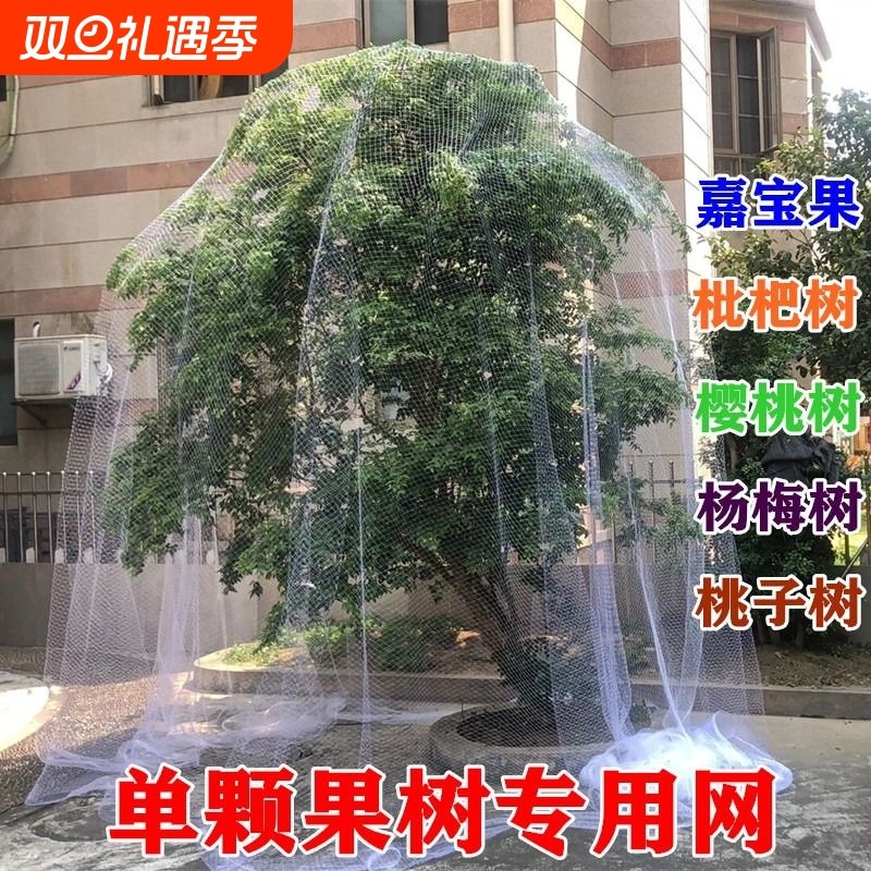大棚果园防鸟网防鸟罩桃树嘉宝果尼龙网果树葡萄防鸟护网杨梅桃子