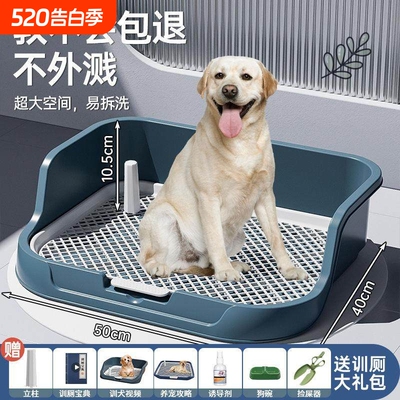 【宠物店力荐】狗狗定点排便神器