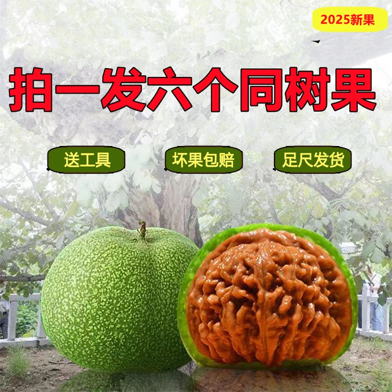 文玩核桃青皮绿闷尖四座楼麒麟纹官帽盘龙白狮子苹果园满天星虎头