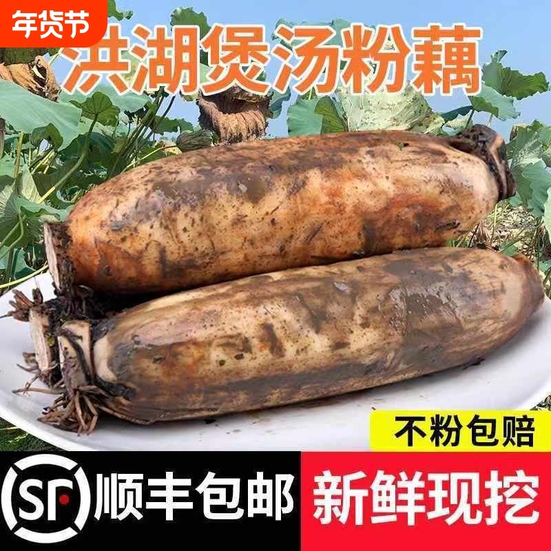 【顺丰包邮】正宗洪湖粉藕新鲜莲藕煲汤九孔藕现挖泥藕面藕3/5斤,水产肉类/新鲜蔬果/熟食,莲藕,淘宝优惠券,粉丝福利购,淘宝优惠卷