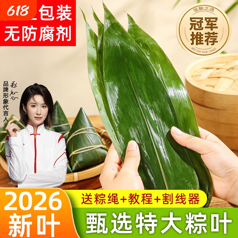 粽叶新鲜粽子叶大号精选包粽子专用的叶子端午鲜叶干叶特大家商用