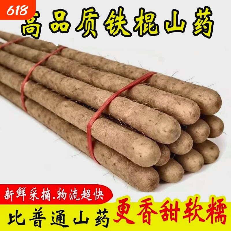 新鲜垆土铁棍山药小白嘴山药新鲜现挖淮山药宝宝辅食老少皆宜