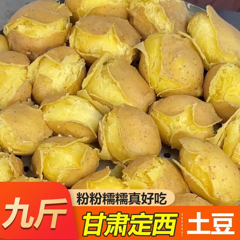 正宗甘肃定西土豆沙面黄心马铃薯蔬菜洋芋旱沙地新鲜现挖9斤自种