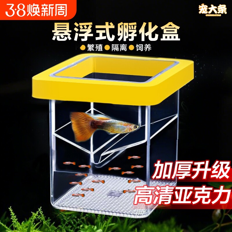 鱼缸繁殖隔离器悬浮式母鱼孵化器孔雀鱼凤尾鱼繁殖盒固定方形